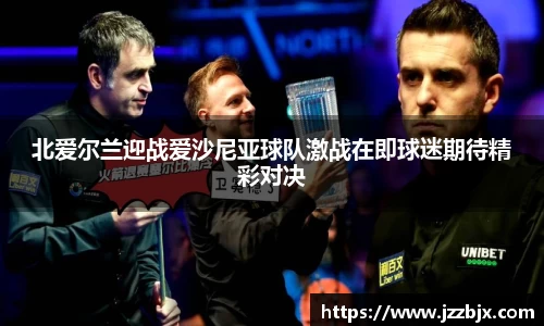 北爱尔兰迎战爱沙尼亚球队激战在即球迷期待精彩对决